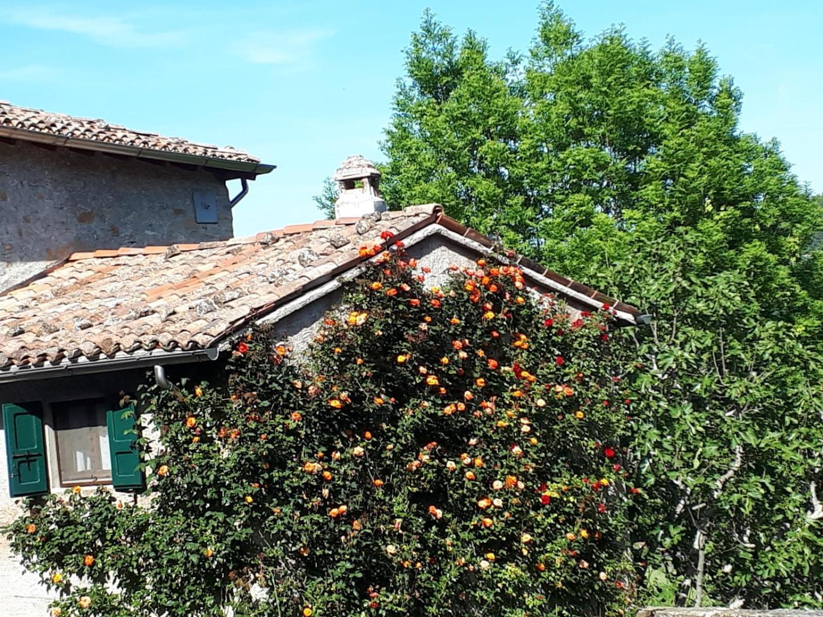 Neviano degli ArduiniLa Corte Bonomini住宿加早餐旅馆 外观 照片