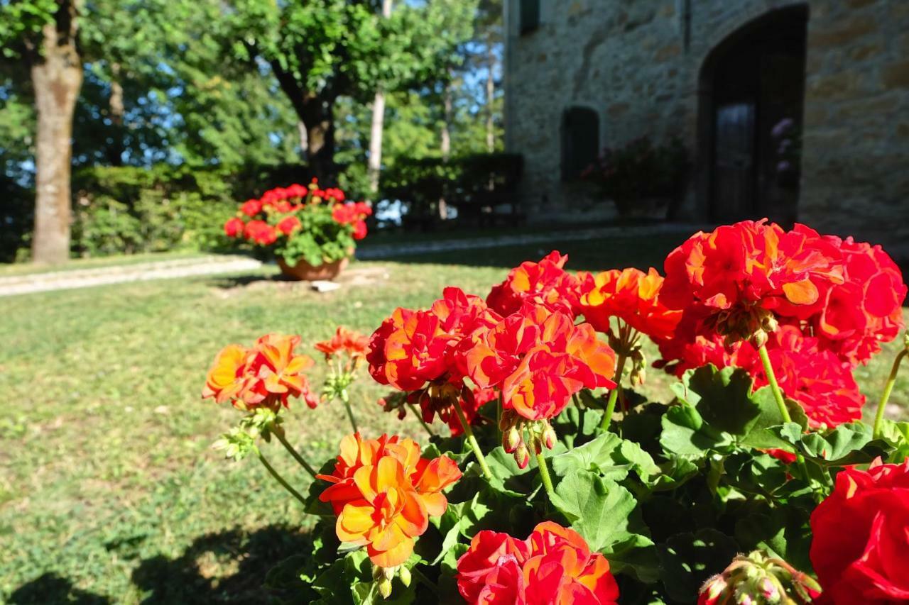 Neviano degli ArduiniLa Corte Bonomini住宿加早餐旅馆 外观 照片